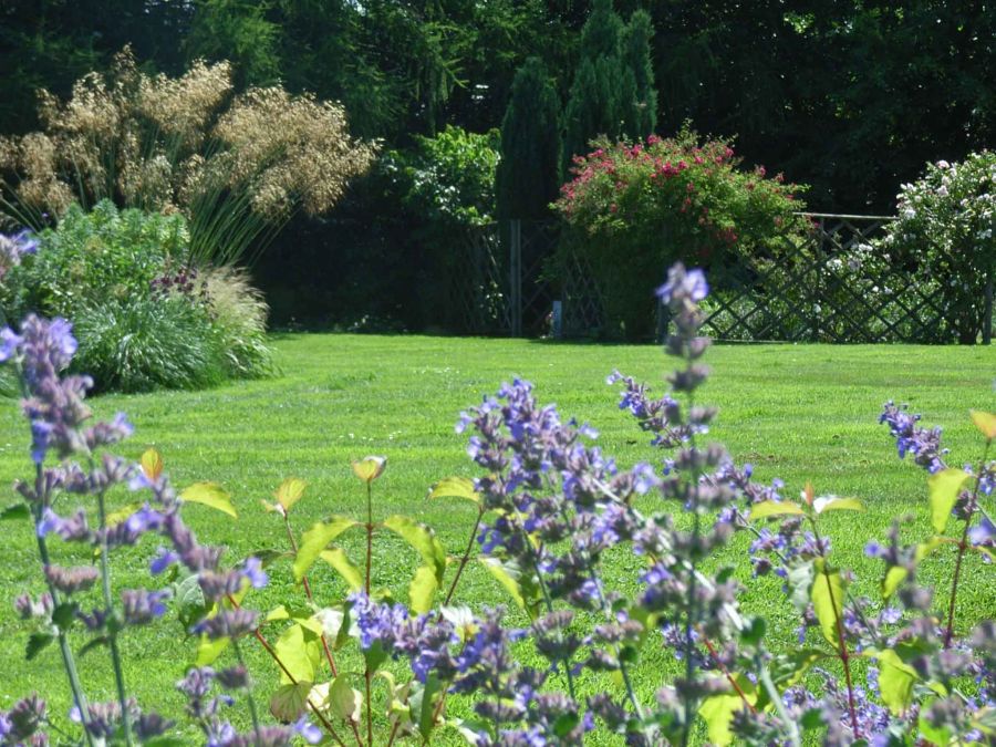 burrough-green-2