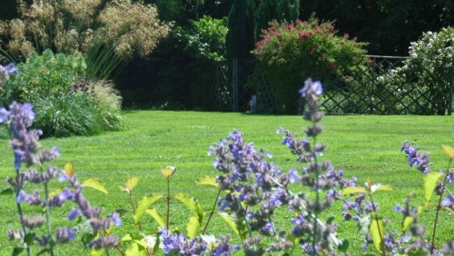 burrough-green-2